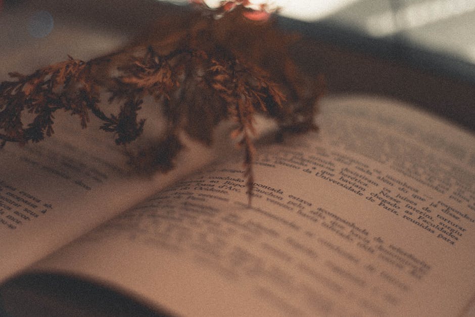 world literature classics
